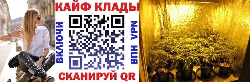 Наркошоп купить Alpha PVP  Экстази  Гашиш  Марихуана  Меф  Благодарный