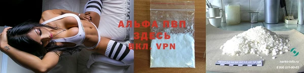 PSILOCYBIN Зеленодольск