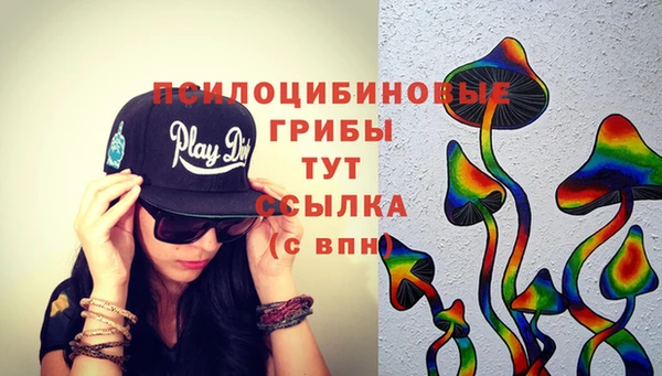 PSILOCYBIN Зеленодольск