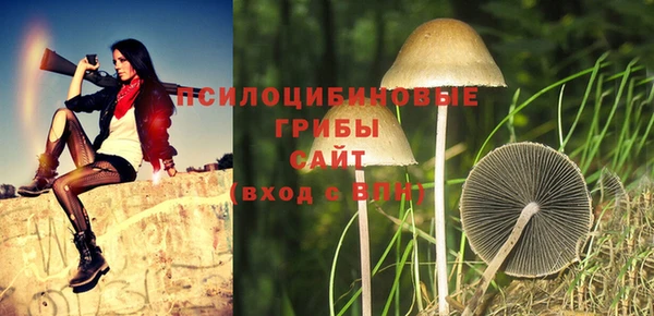 гашиш Зеленокумск