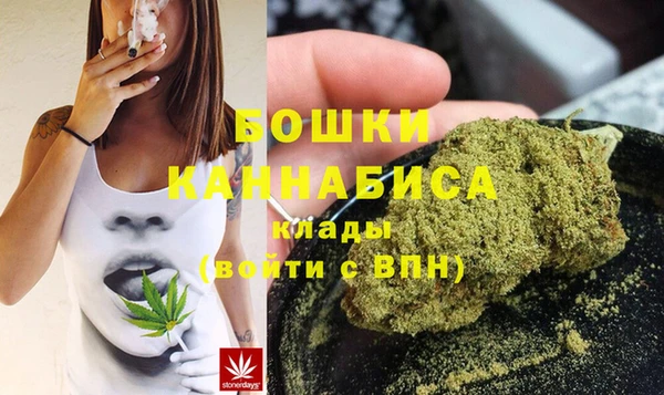 PSILOCYBIN Зеленодольск