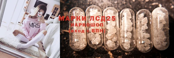 PSILOCYBIN Зеленодольск