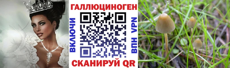 Купить  Благодарный  Псилоцибиновые грибы Magic Shrooms 