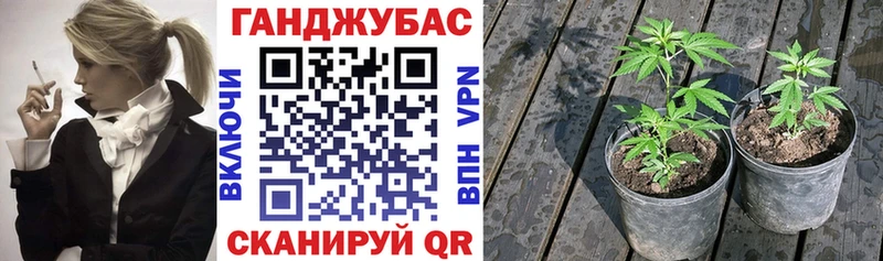 Купить где  Благодарный  Марихуана AK-47 